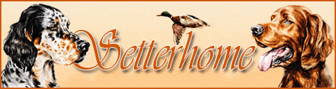Banner-Setterhome-Linie
